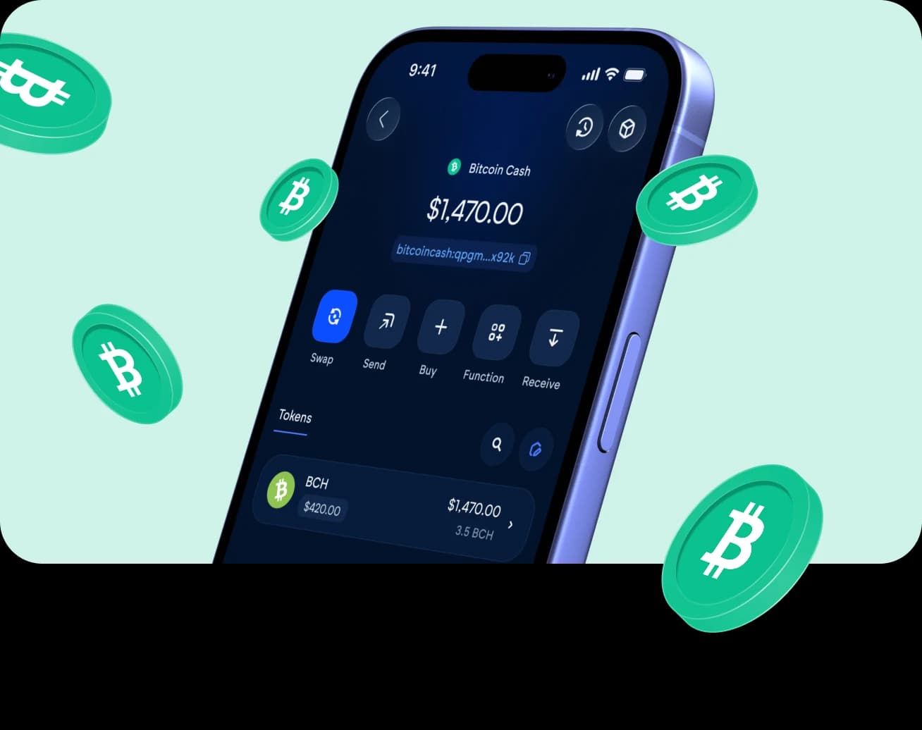The Vultisig vault open on Bitcoin-Cash, with its balance and actions