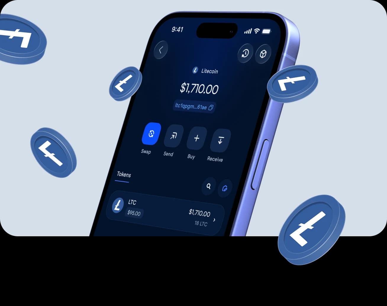 The Vultisig vault open on Litecoin, with its balance and actions